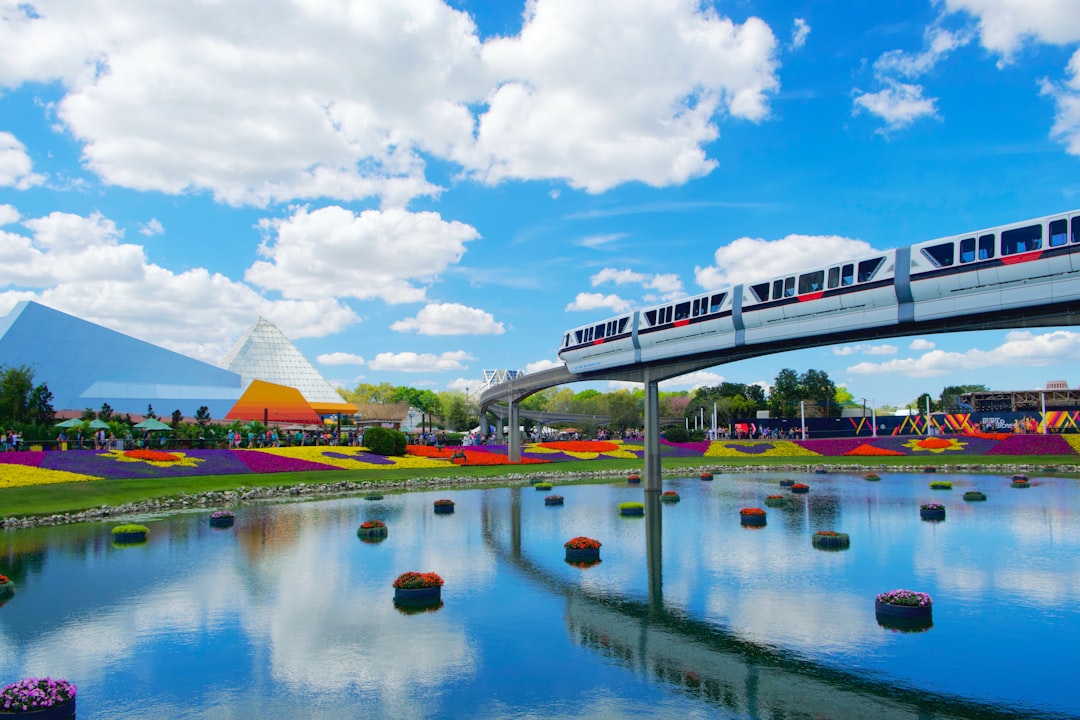 Water park photo spot Walt Disney World United States