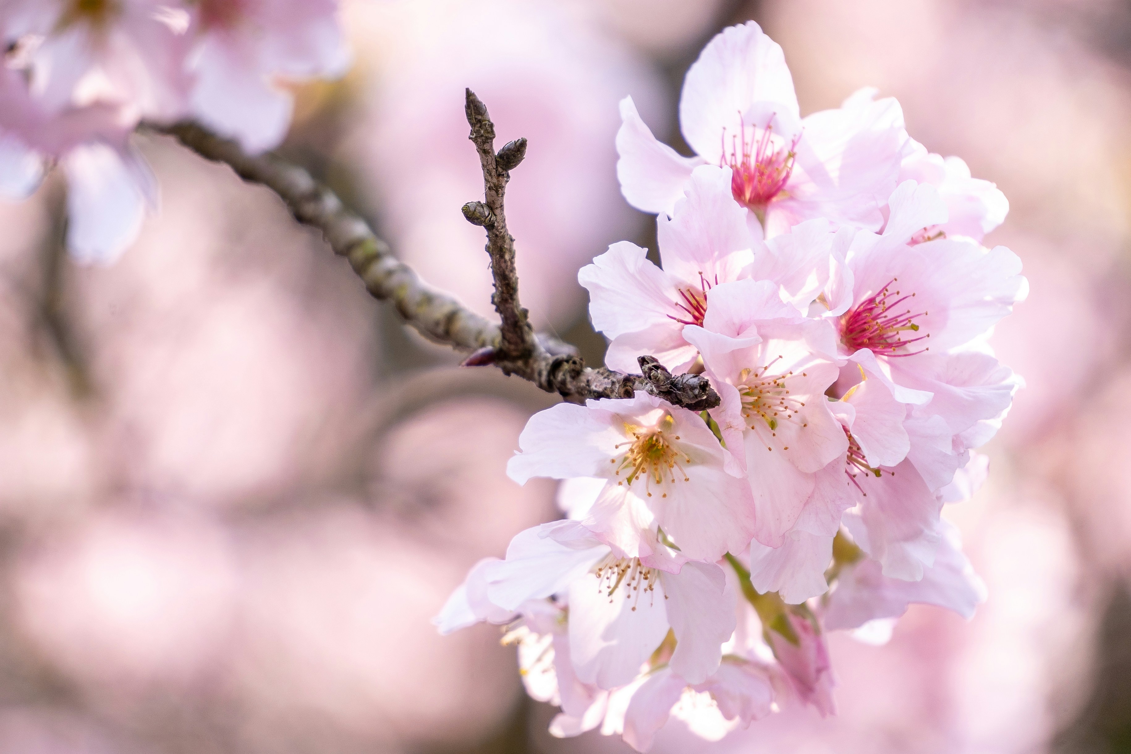 Photo by winstonchen