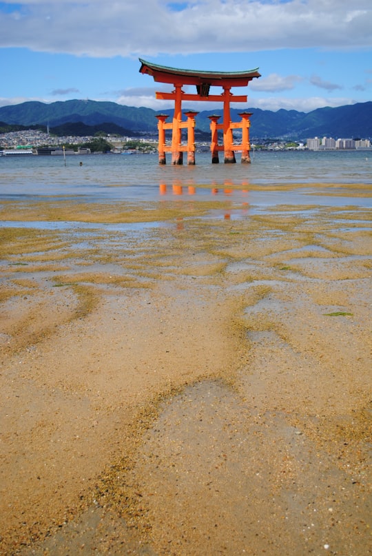 brown wooden cross on beach during daytime in Itsukushima Shrine Japan