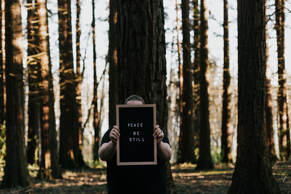 black wooden frame on brown tree trunk