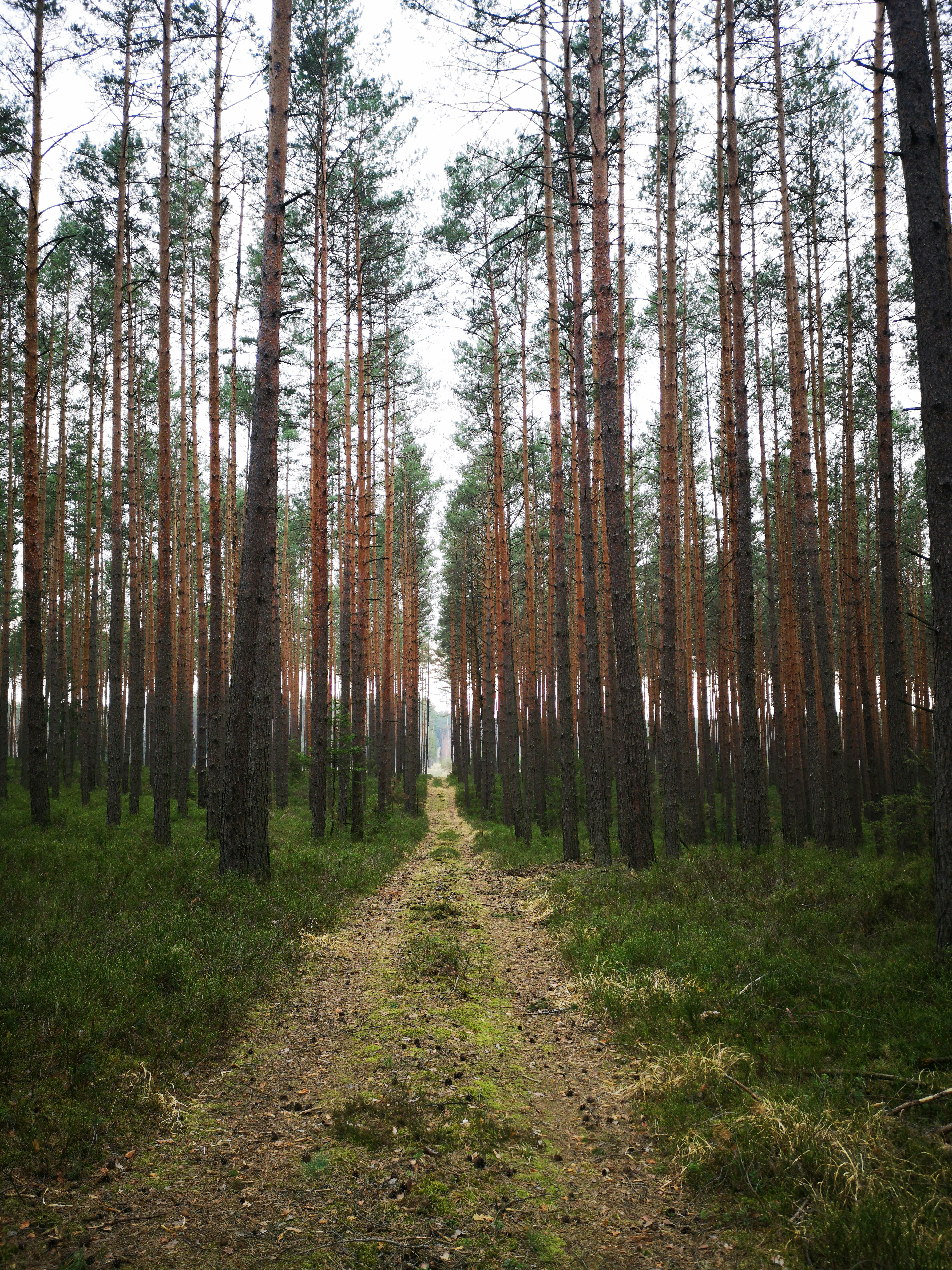 Photo by operainfinita