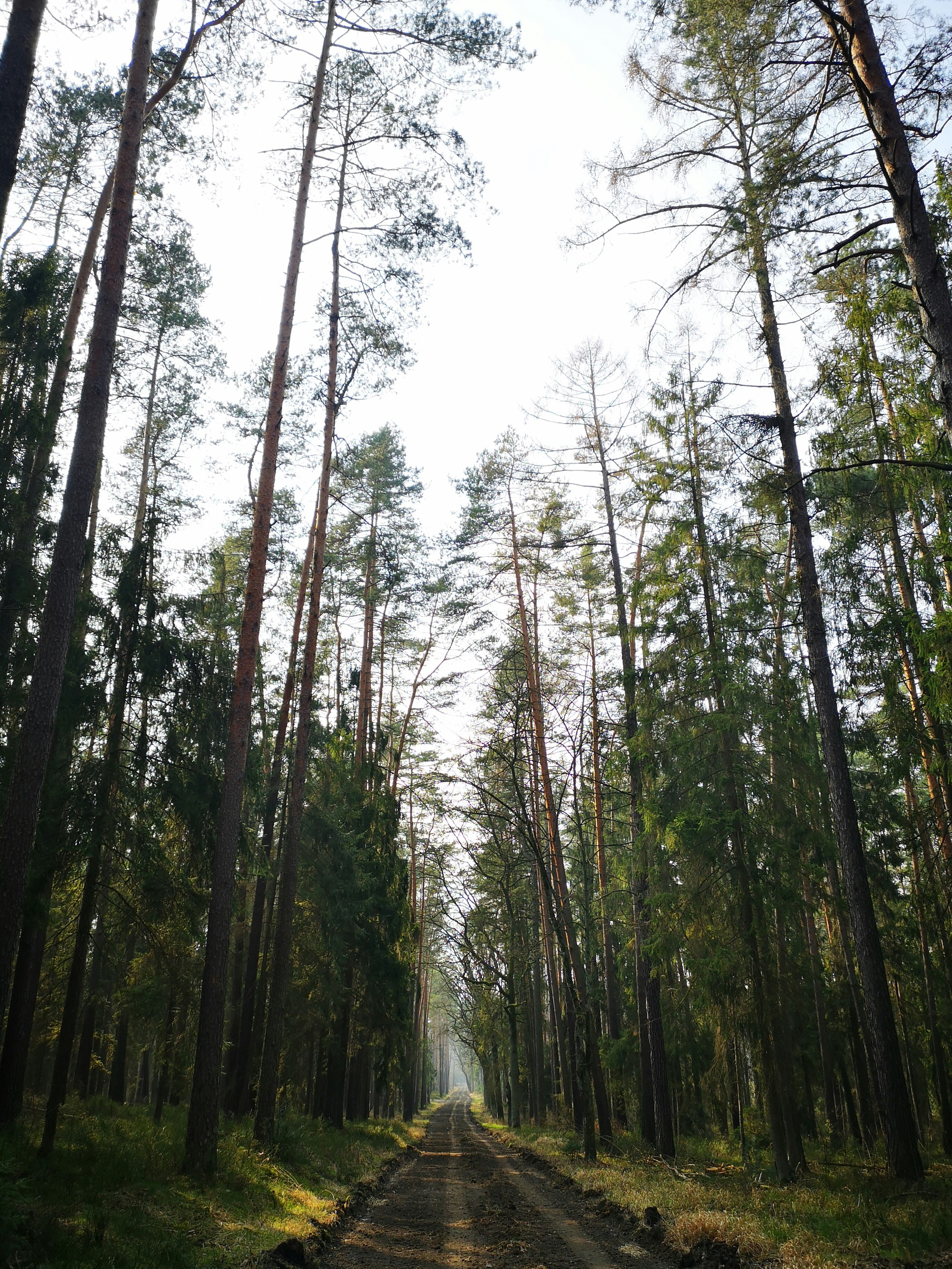 Photo by operainfinita