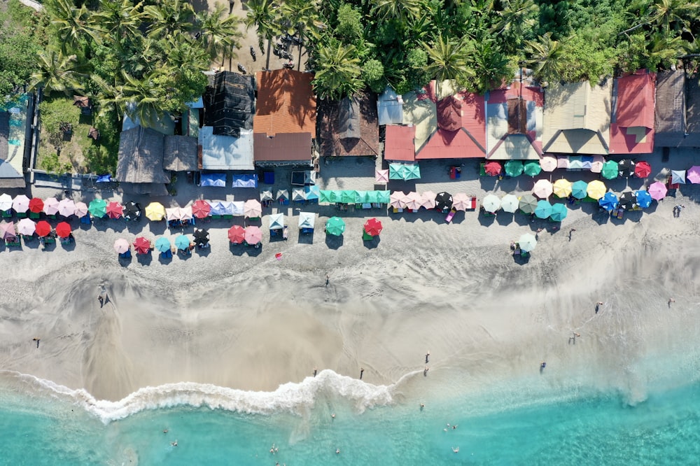 people swimming on beach during daytime