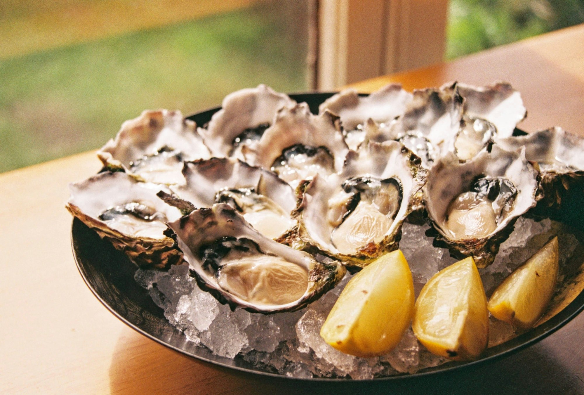 You should avoid eating oysters in Mazatlan