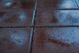 Wet tiled surface with visible reflections and droplets, indicating a recent rainfall. The tiles are arranged in a grid pattern, and the low angle provides a focus on the texture and wetness.