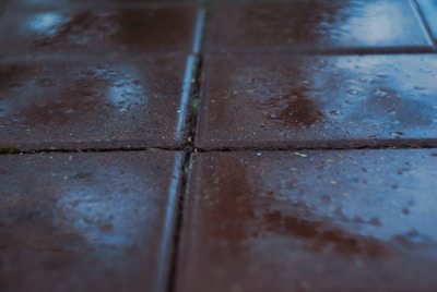 Wet tiled surface with visible reflections and droplets, indicating a recent rainfall. The tiles are arranged in a grid pattern, and the low angle provides a focus on the texture and wetness.