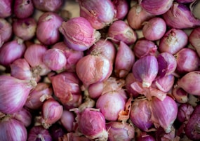 Onion