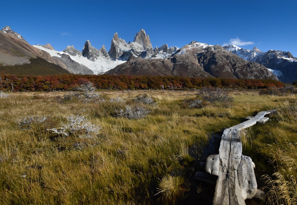 campo di erba verde vicino alla montagna sotto il cielo blu durante il giorno