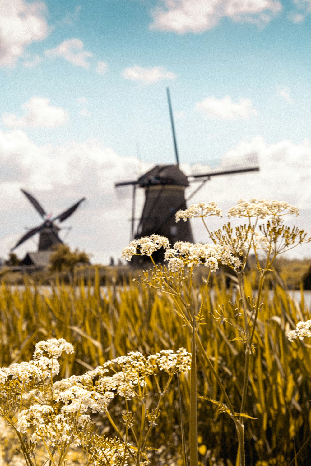 Windmühle auf grünem Grasfeld tagsüber