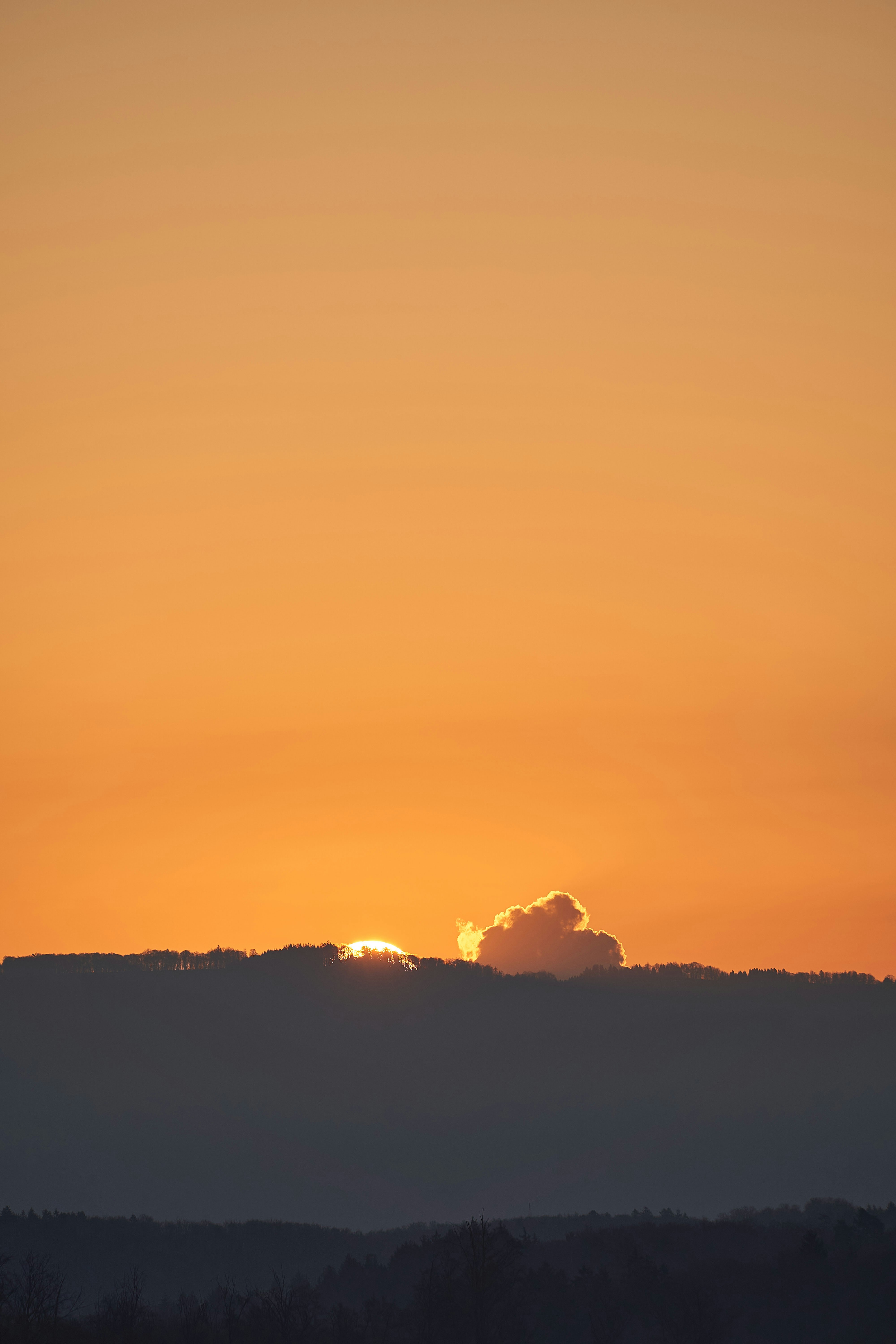 Photo by wolfgang_hasselmann