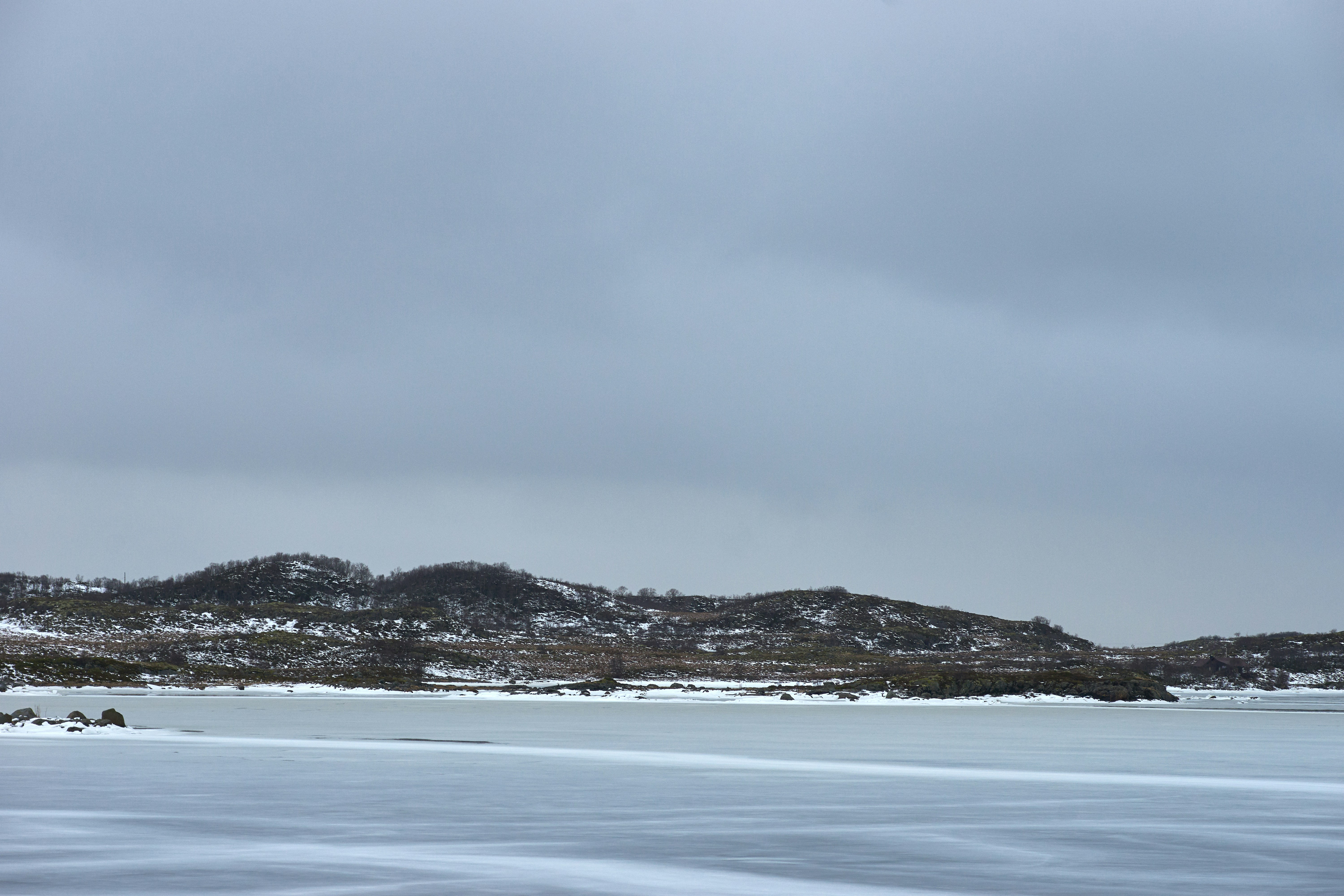 Photo by wolfgang_hasselmann