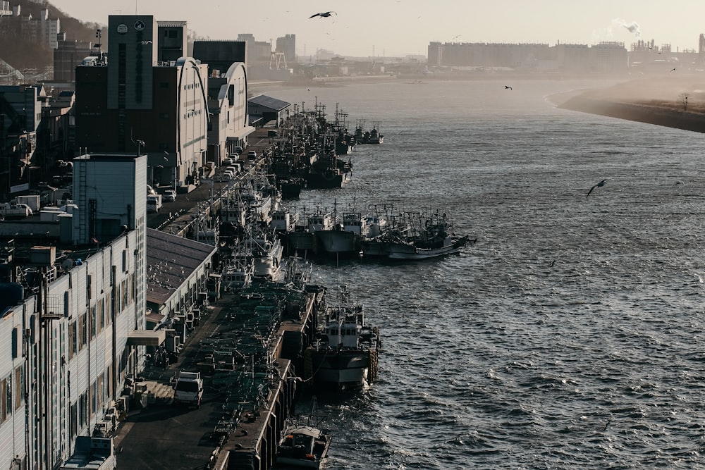 aerial view of city buildings near body of water during daytime