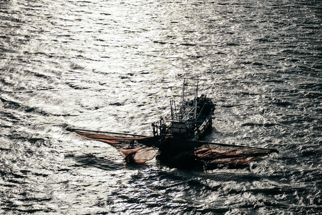 brown and black boat on sea during daytime