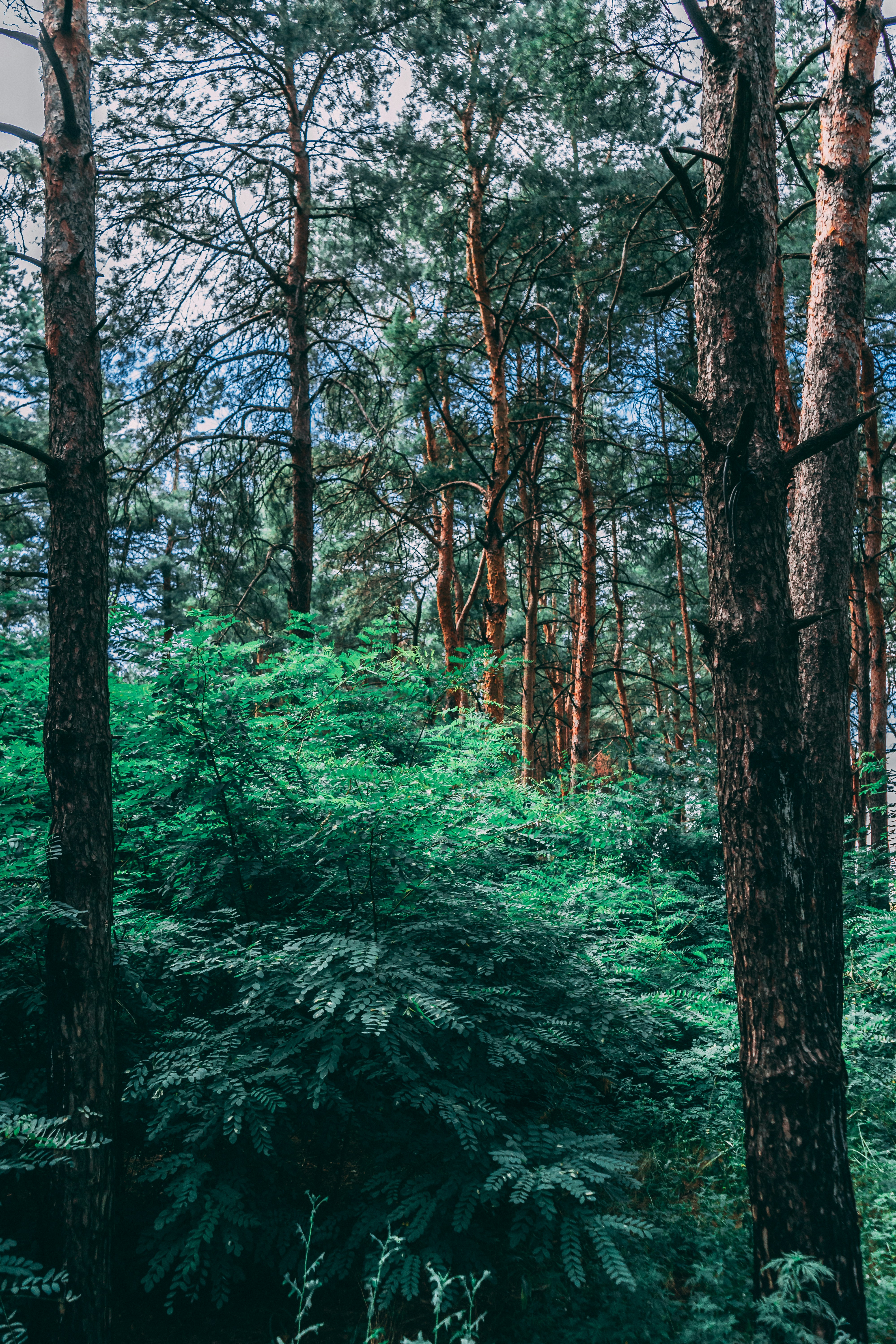 Photo by virussinside