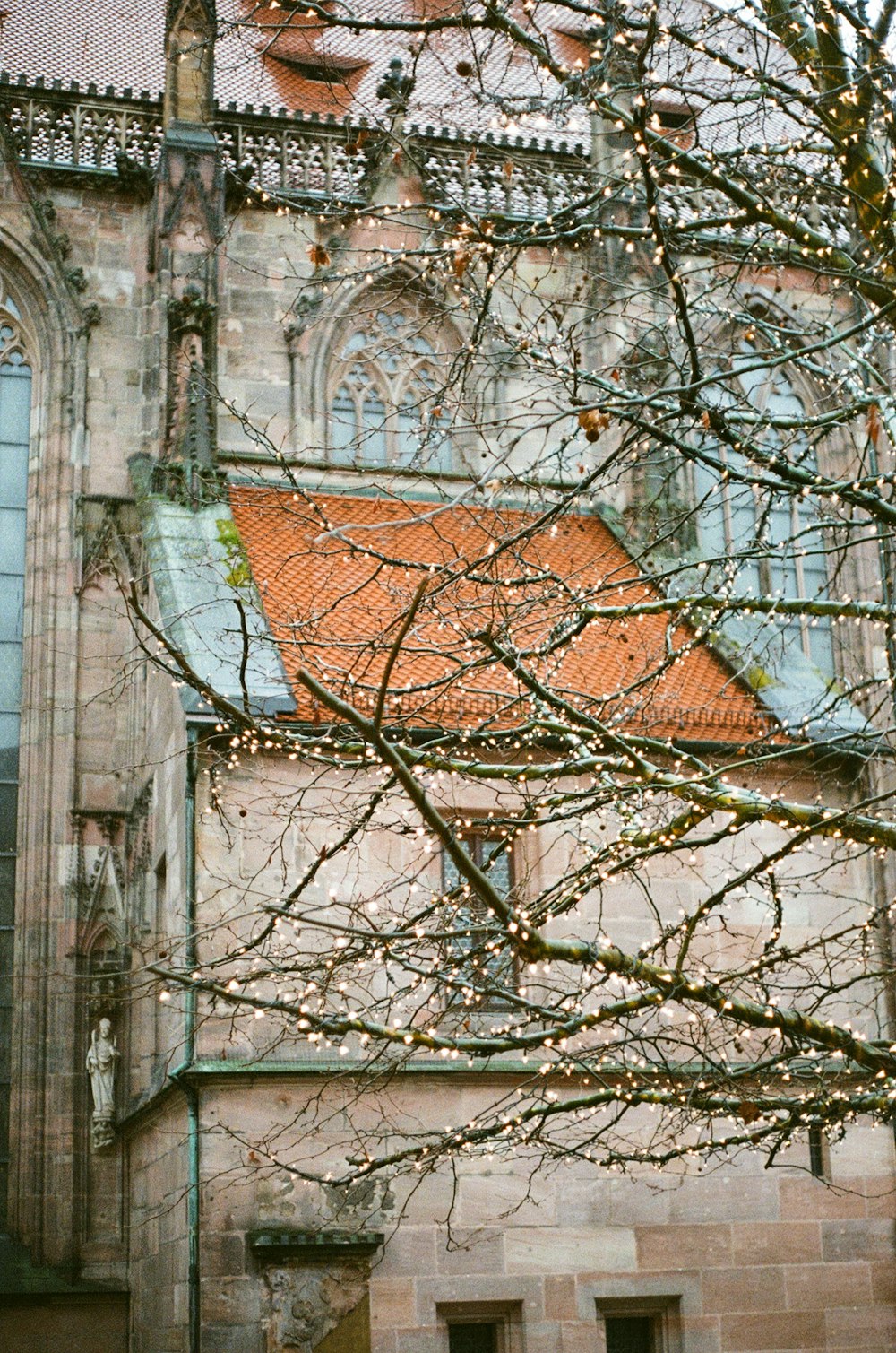 bare tree near white concrete building