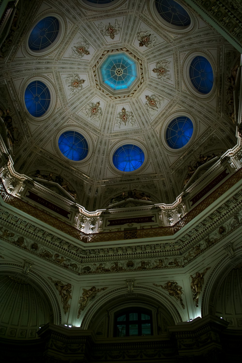 white blue and brown ceiling
