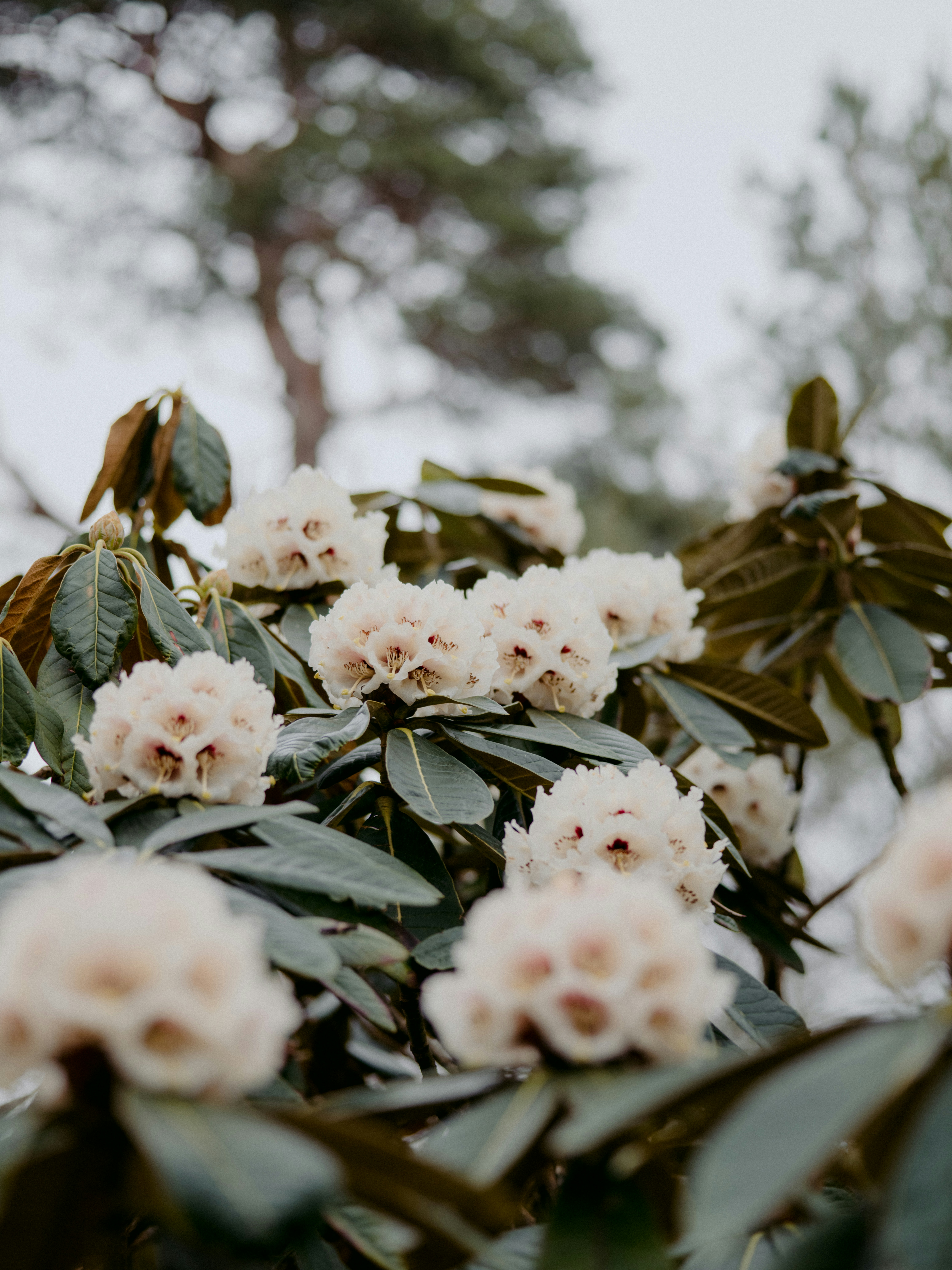 Photo by anniespratt