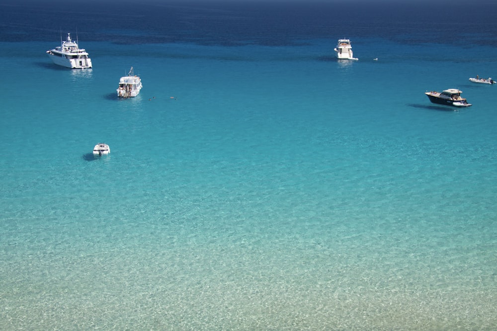 white and blue boat on sea during daytime