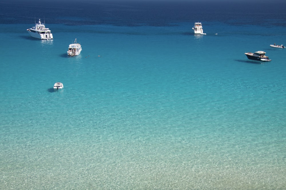 barca bianca e blu in mare durante il giorno