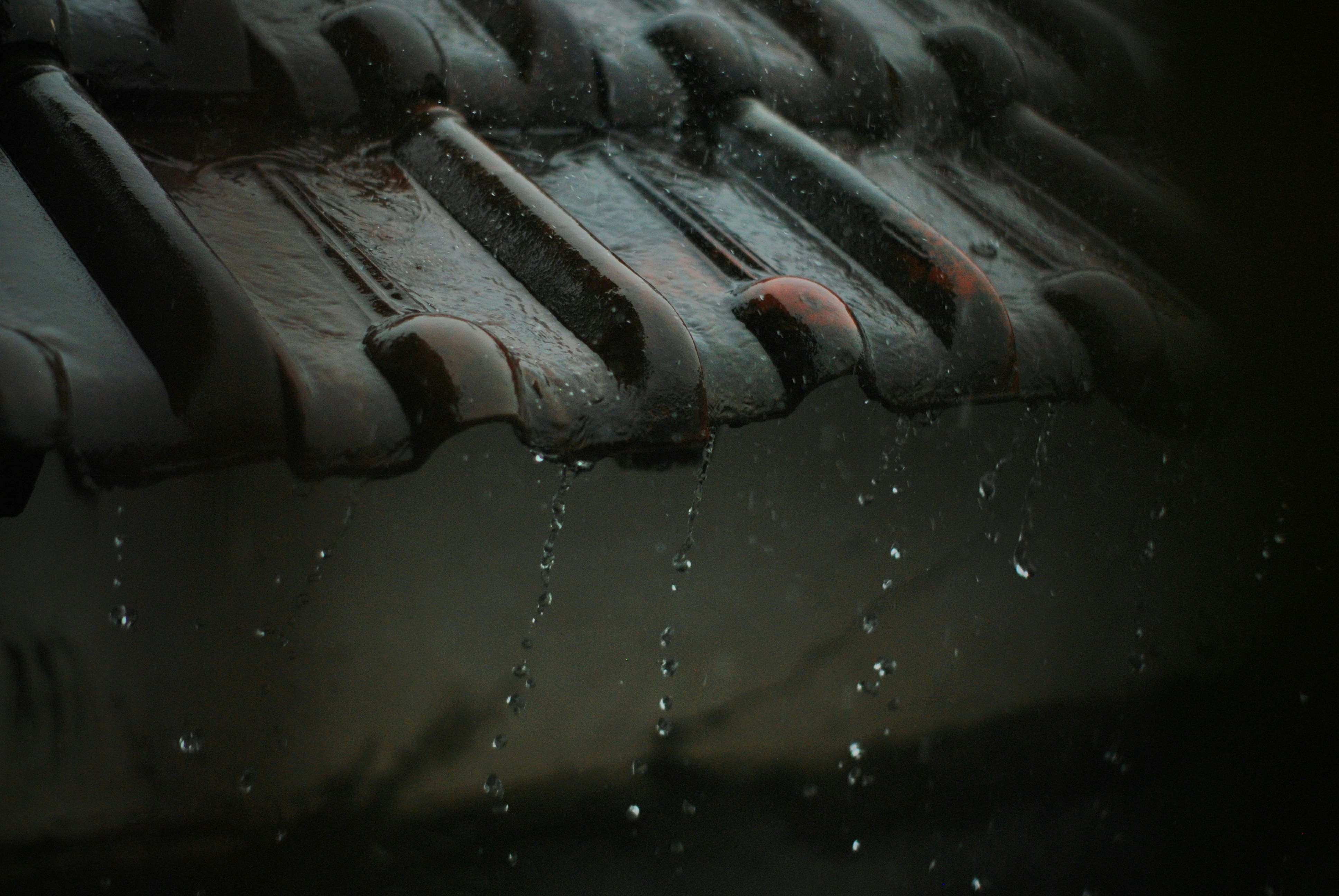 Rain