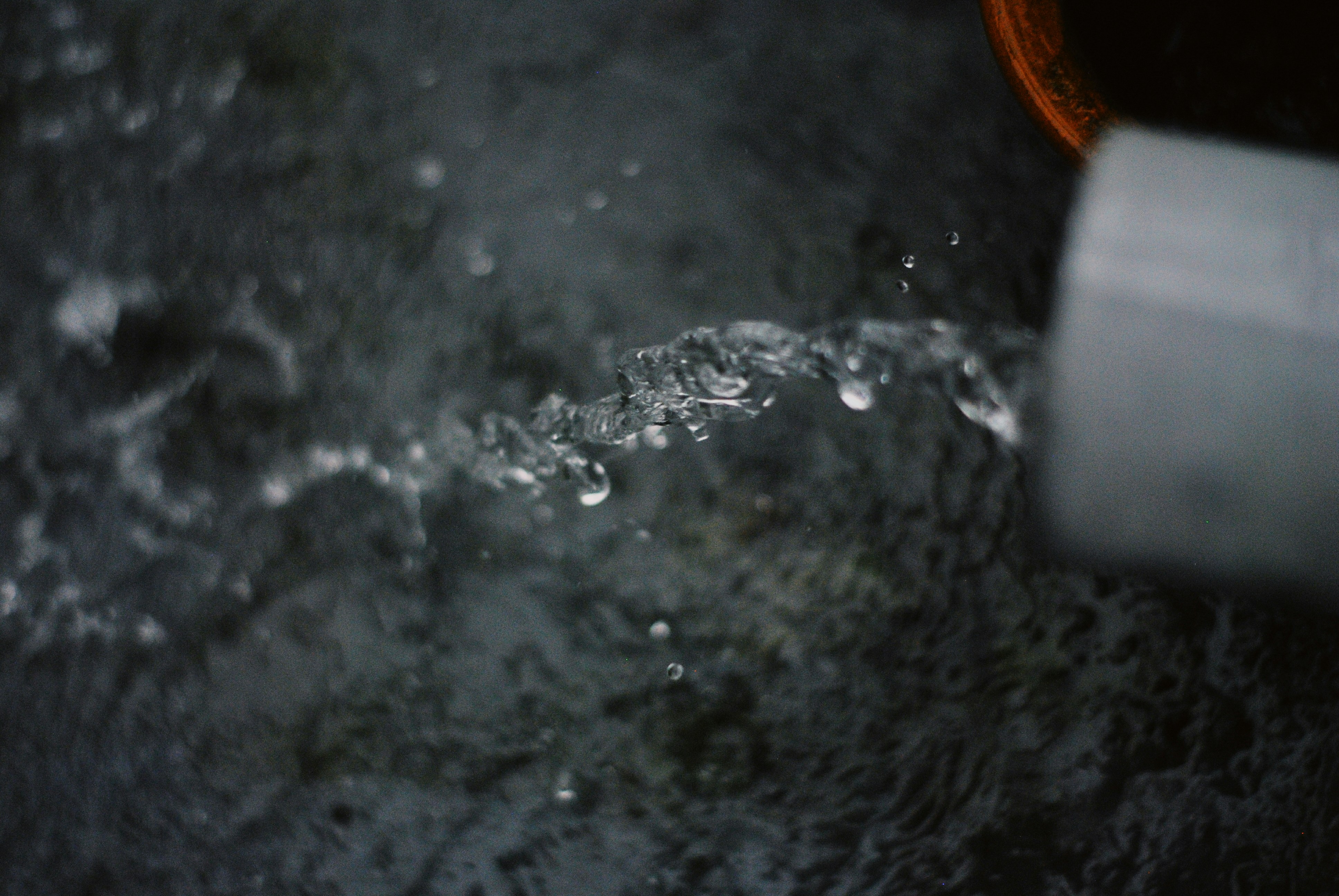 Photo by husniatisalma