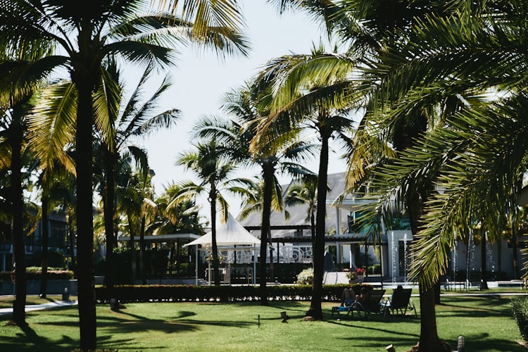 Kalinago Beach Resort resort