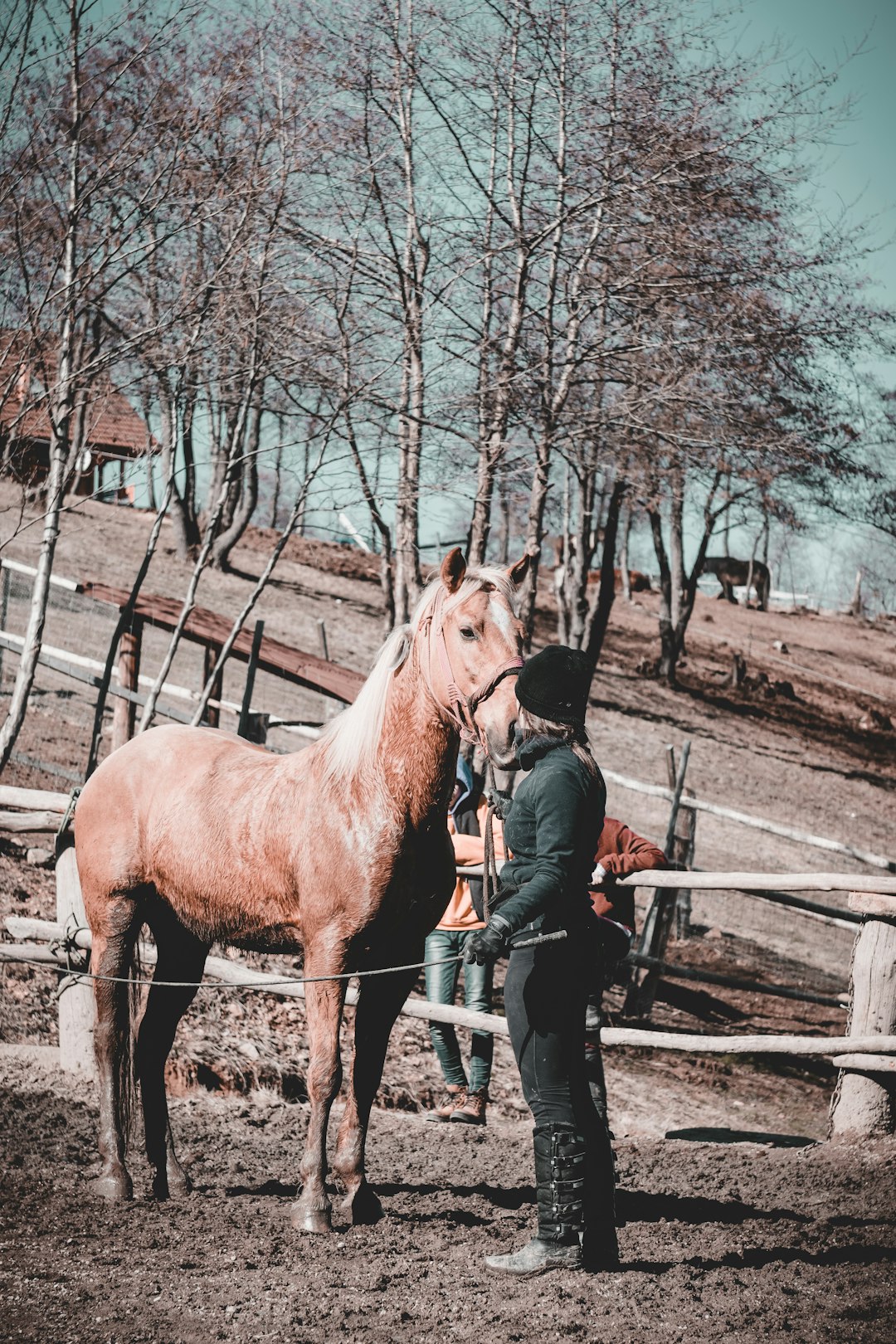 man in black jacket and blue denim jeans riding brown horse during daytime