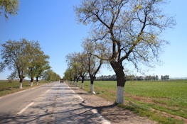 A team member skillfully spraying brush along a winding country road under a clear blue sky.