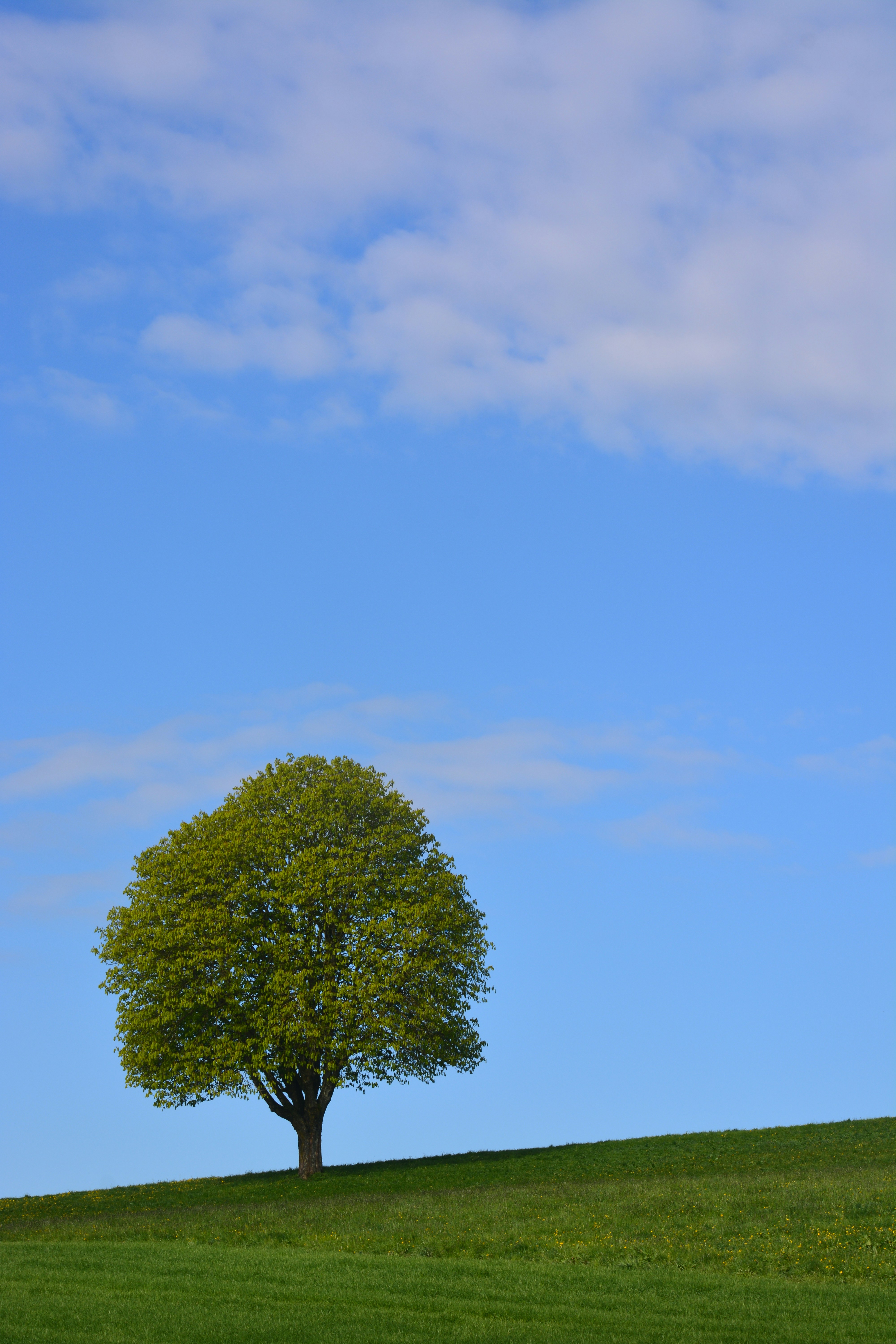 Photo by pedrino5_official