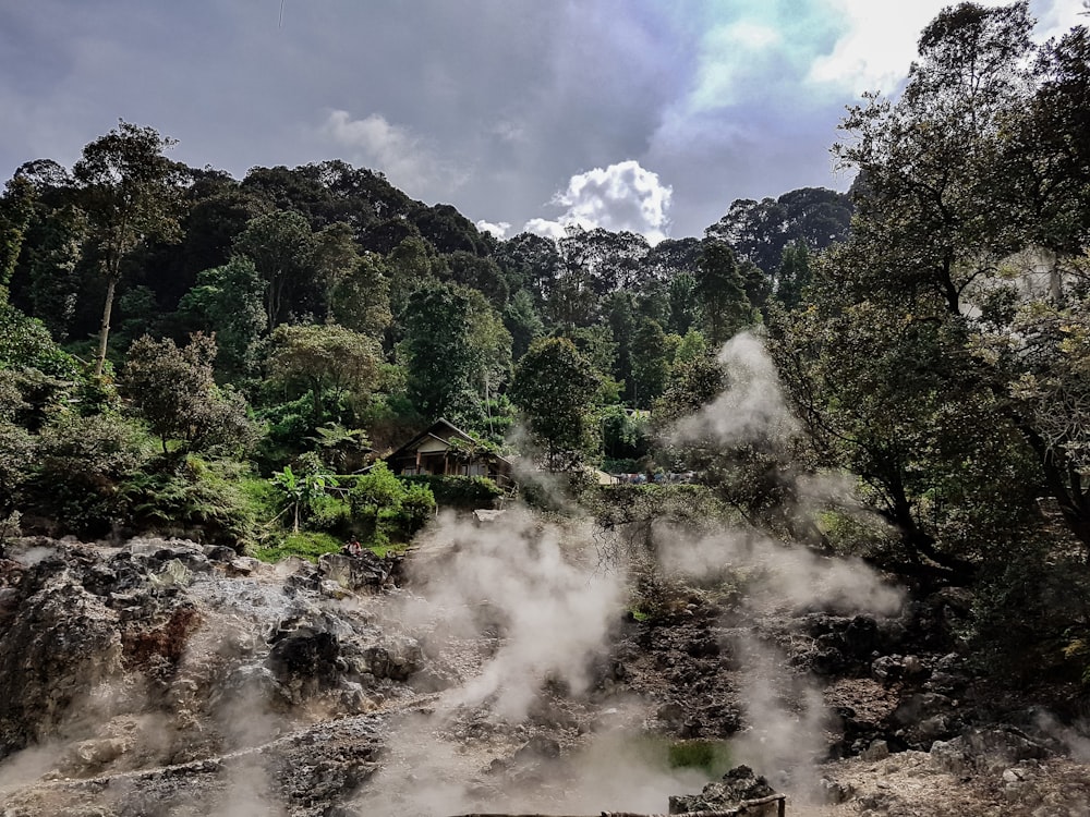 昼間の白い雲の下の山の緑の木々