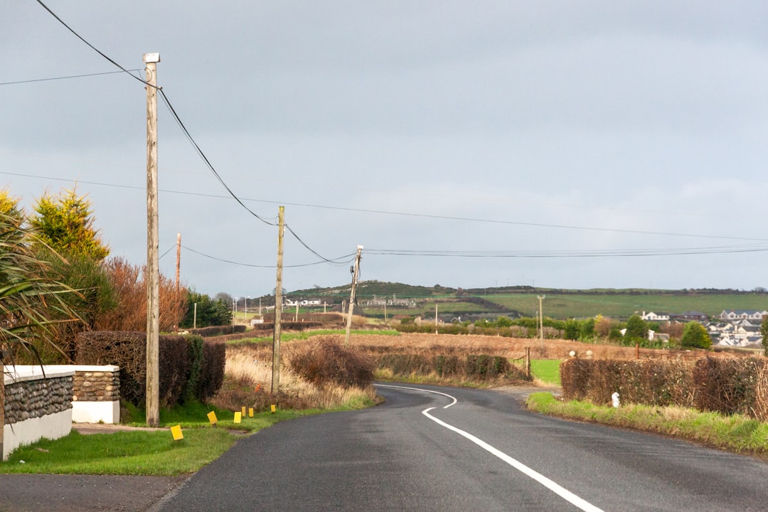 gray concrete road between green grass field under gray sky during daytime