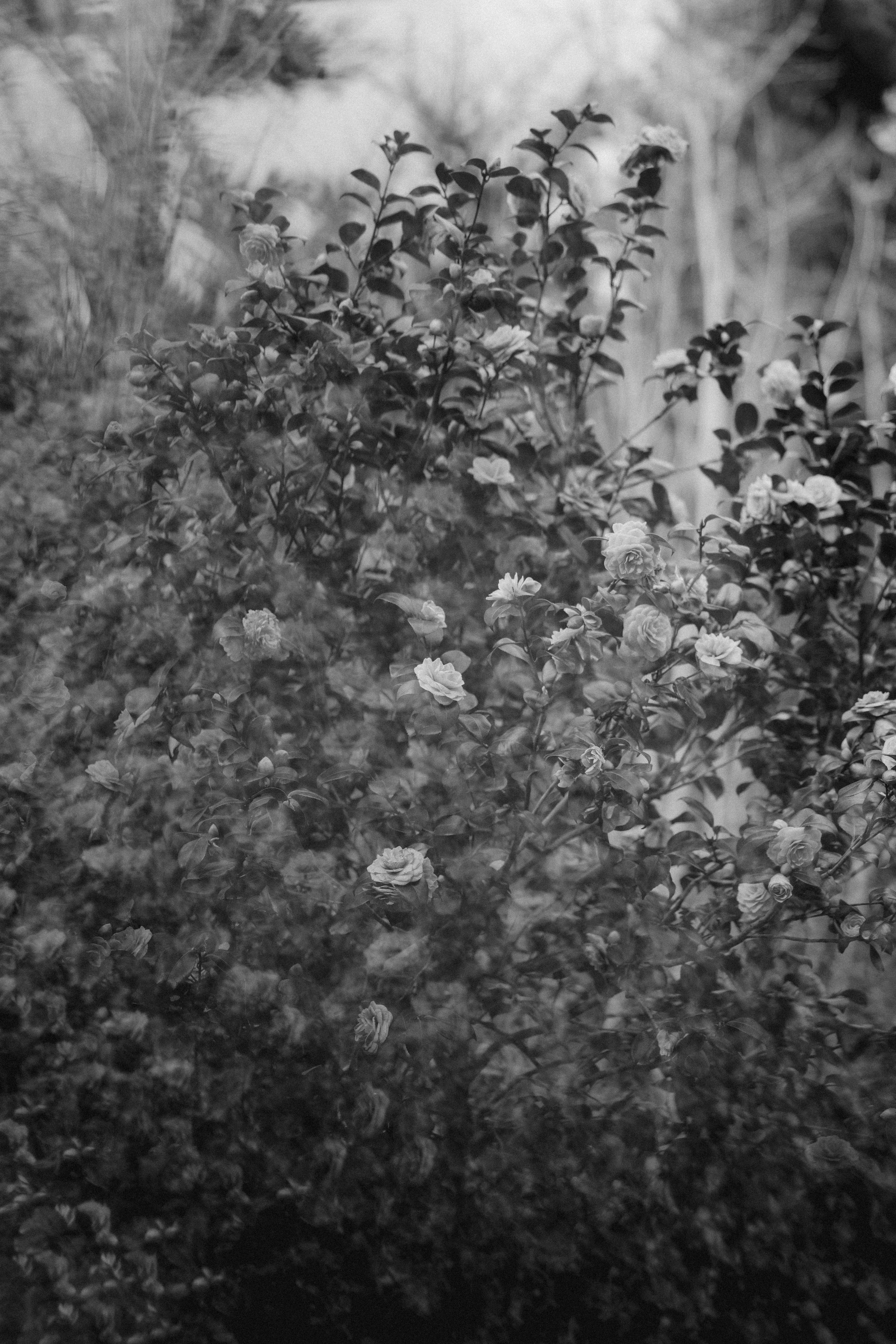 Photo by anniespratt