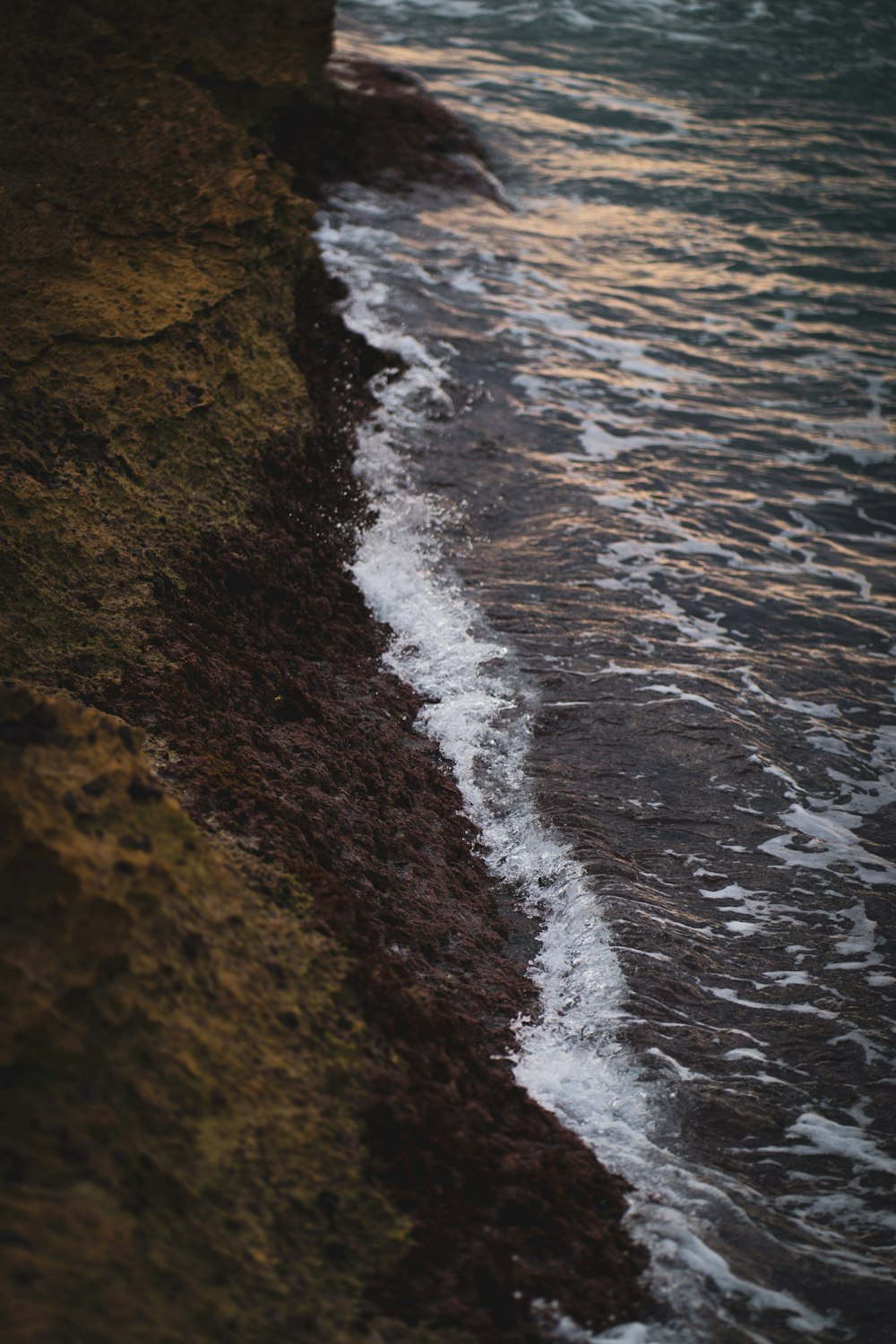 green moss on brown rock formation beside sea during daytime