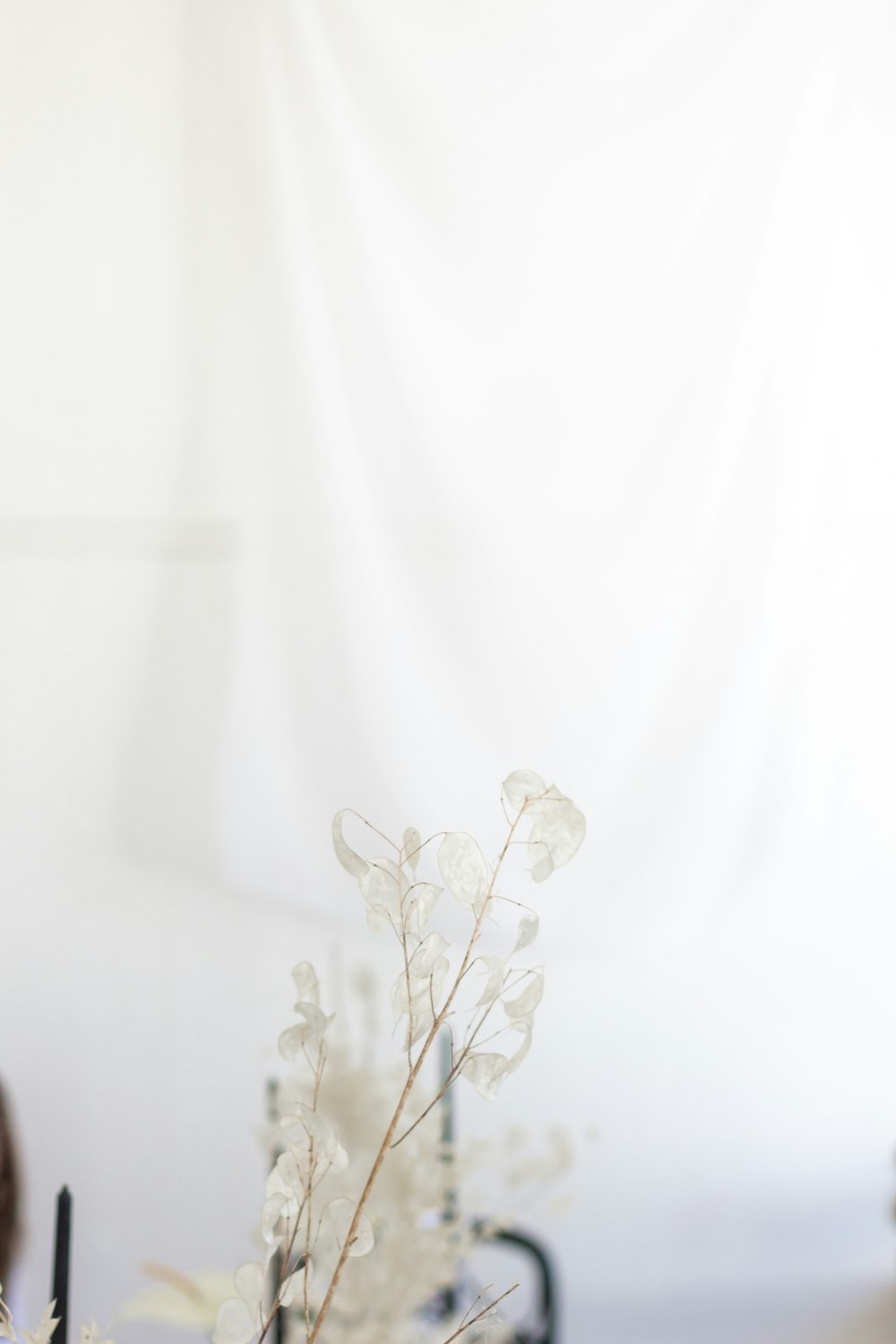 white flower on white textile