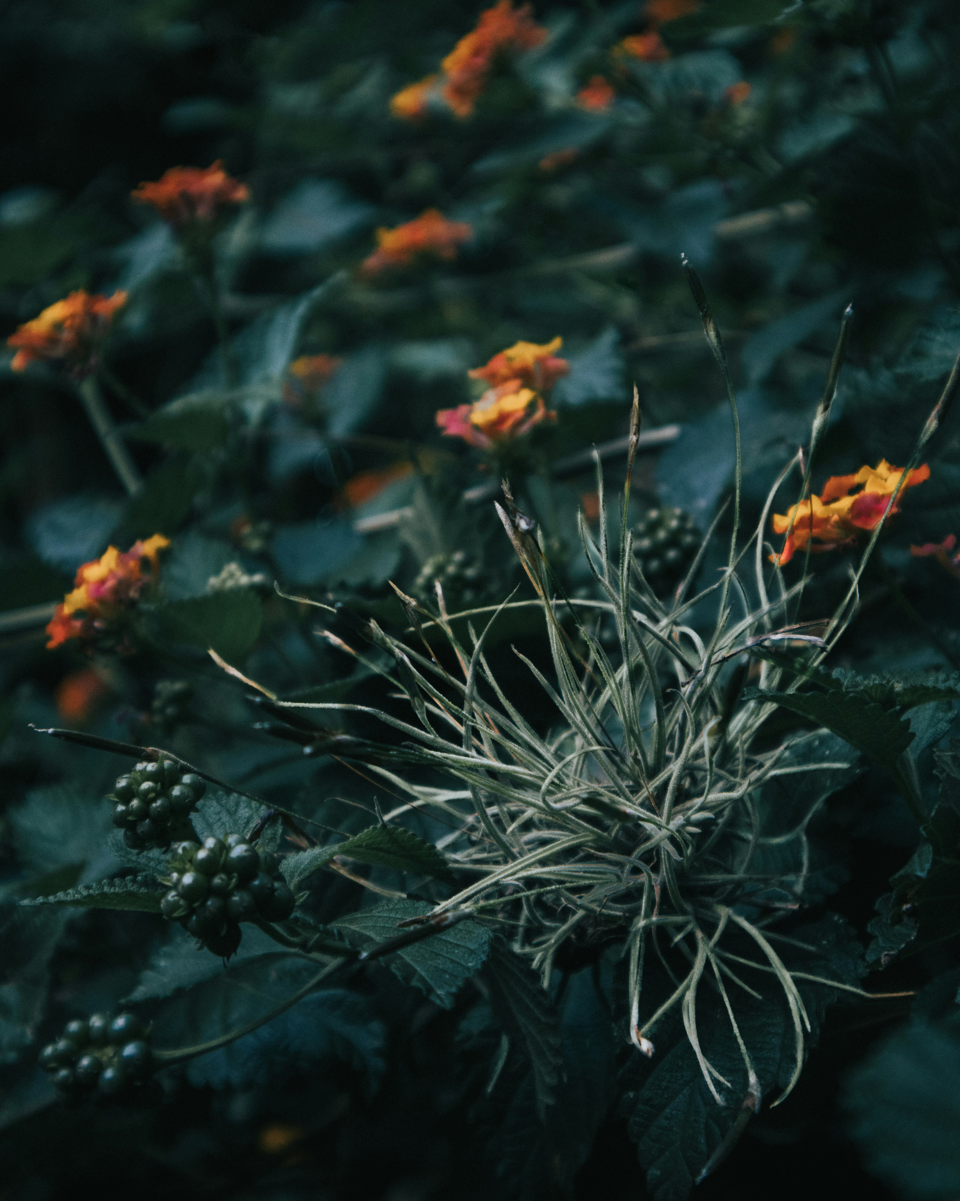 Photo by nature_of_the_experiment