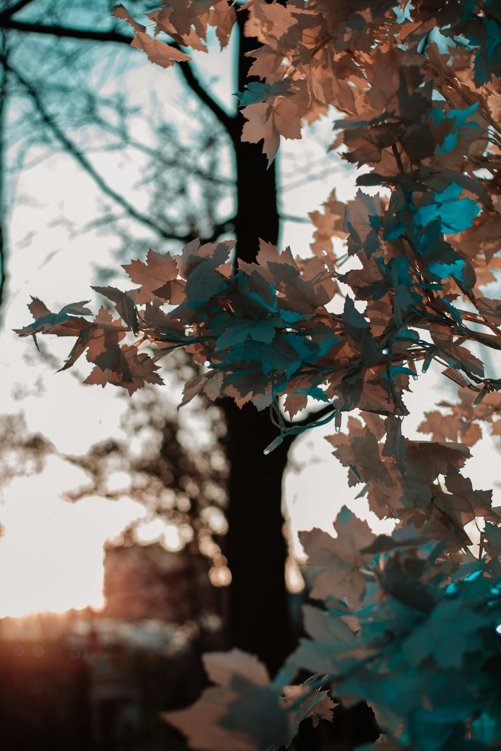 blue and white flowers on tree branch