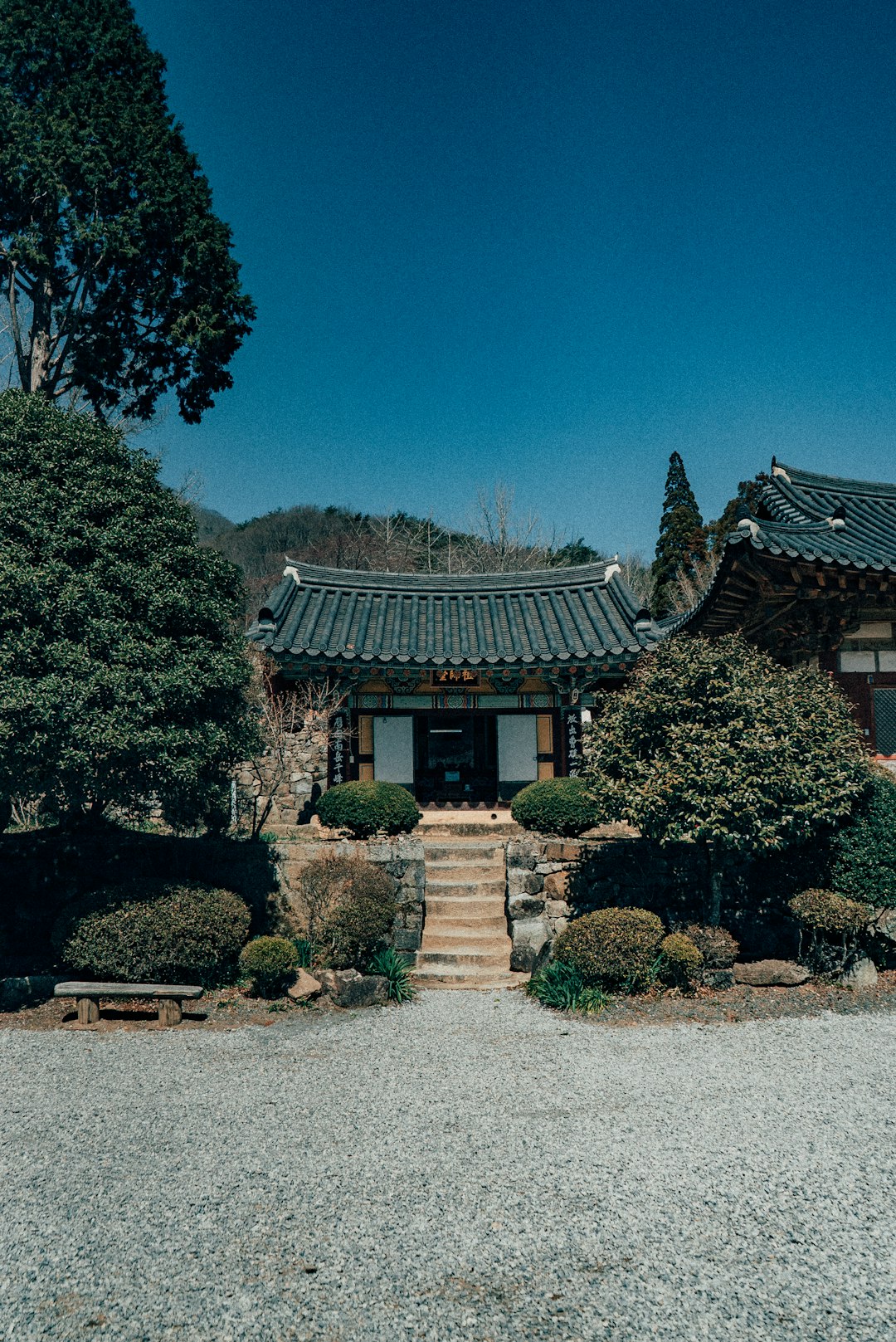 brown and white house surrounded by green trees under blue sky during daytime