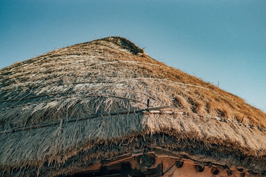 brown wooden house under blue sky during daytime in Nagan-myeon South Korea