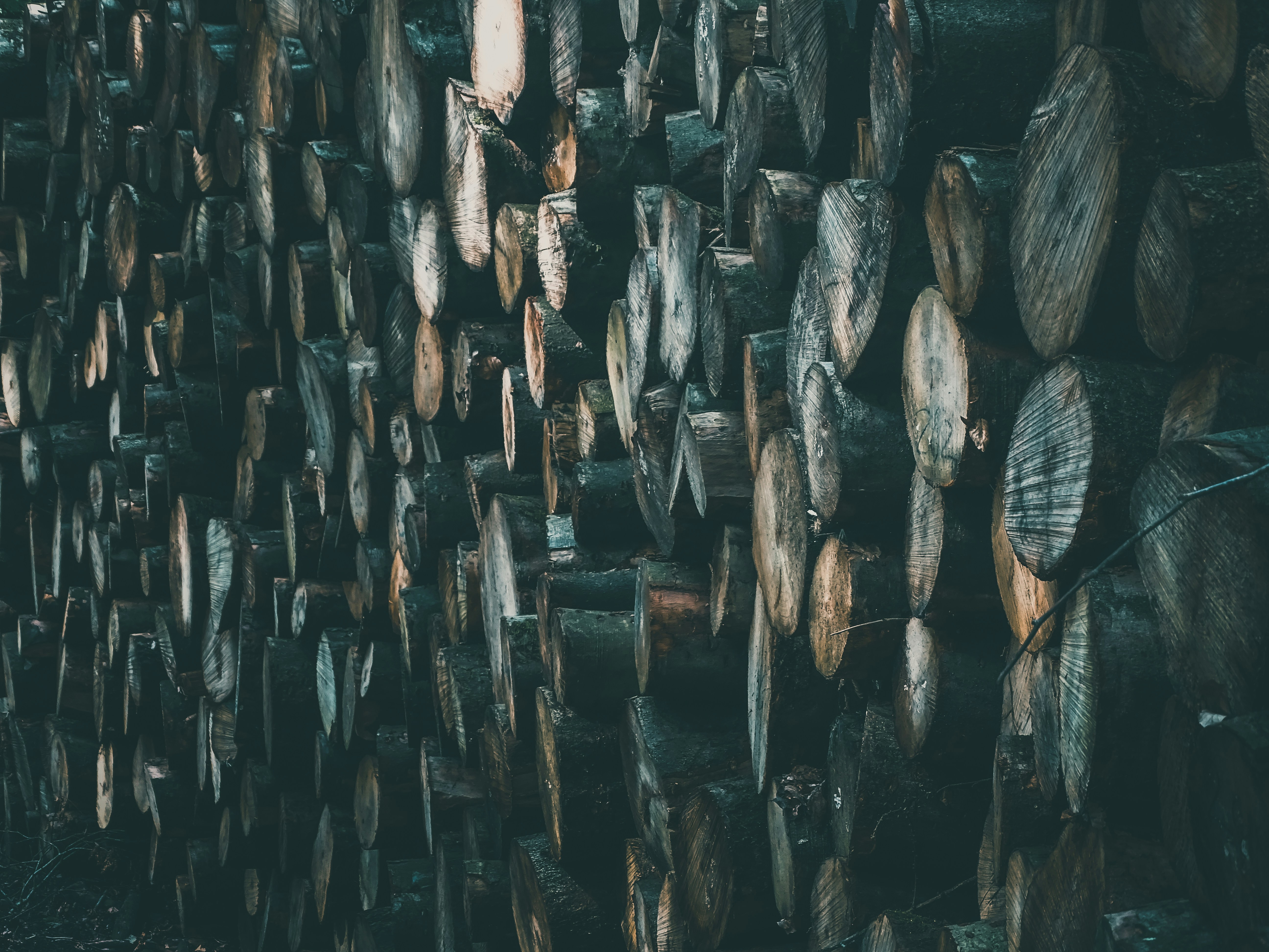brown and black wooden fence