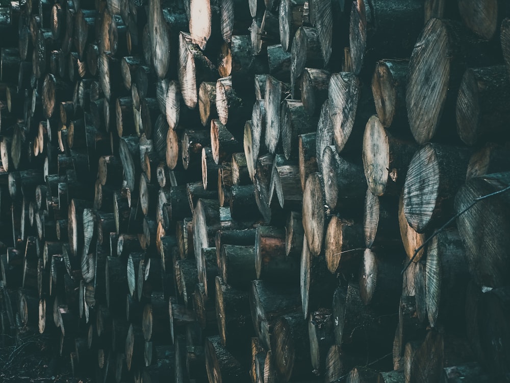 brown and black wooden fence