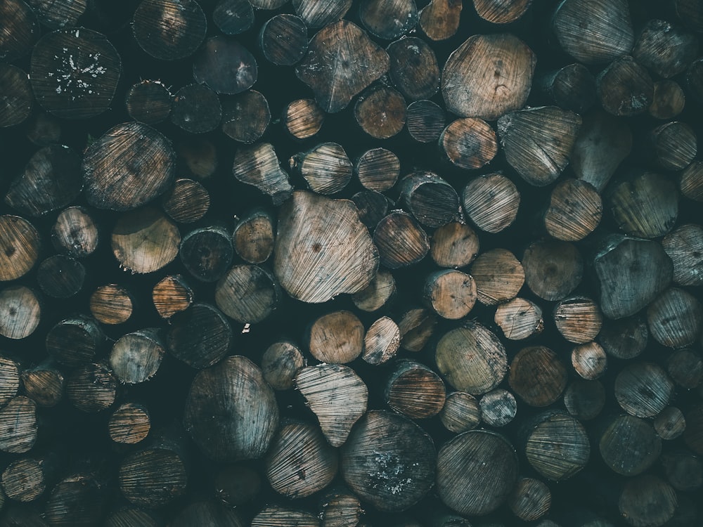 troncos de madeira castanhos e cinzentos