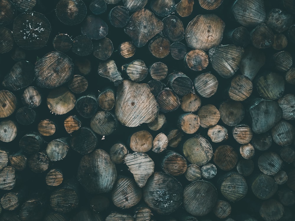 brown and gray wood logs