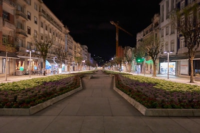 Urbanization project featuring paved roads, street lamps, and young trees.
