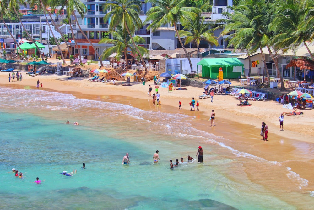 people on beach during daytime