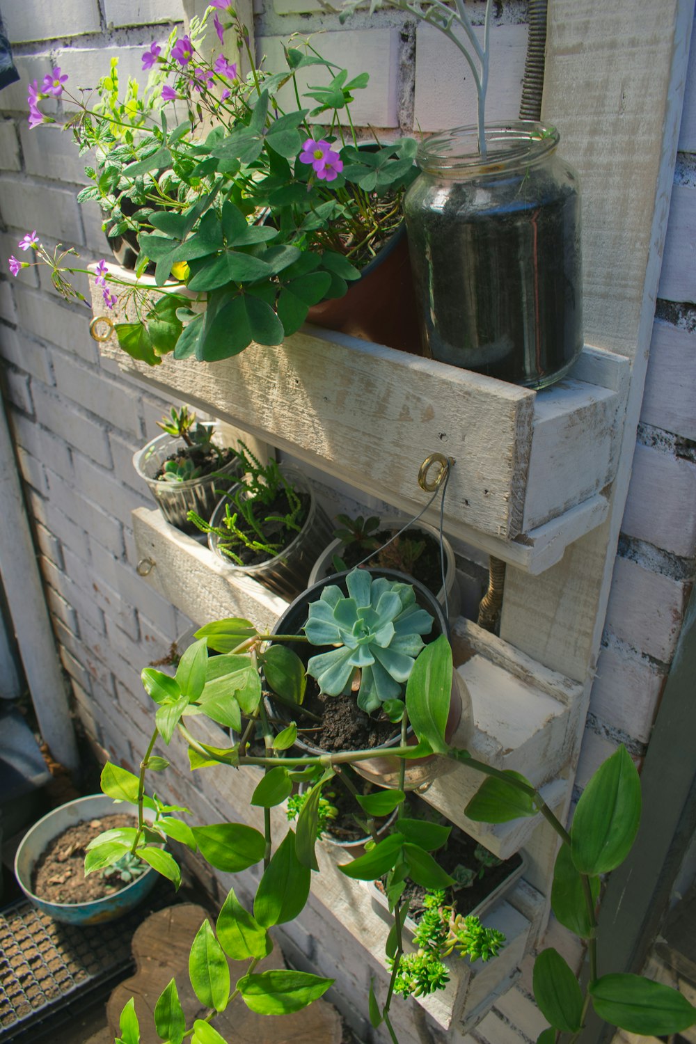 green plant on white wooden box
