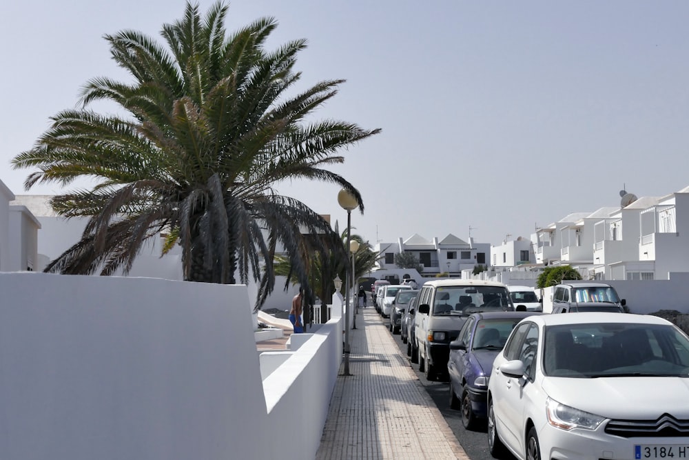 auto parcheggiate nel parcheggio durante il giorno