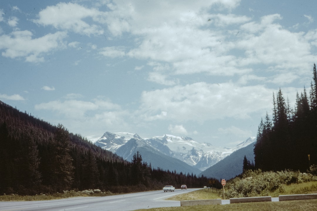 green trees near mountain under white clouds and blue sky during daytime