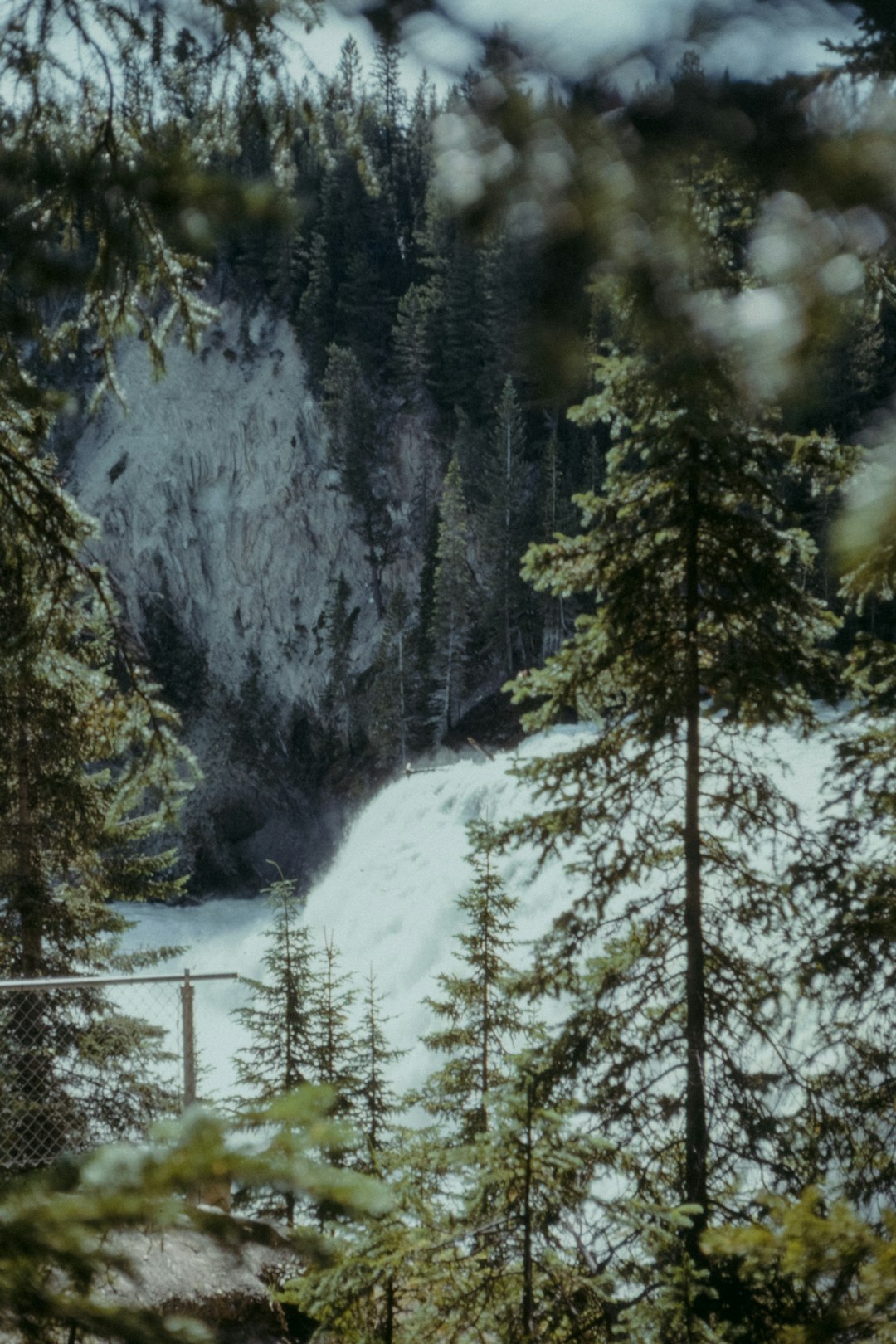 travelers stories about Forest in Wapta Falls, Canada