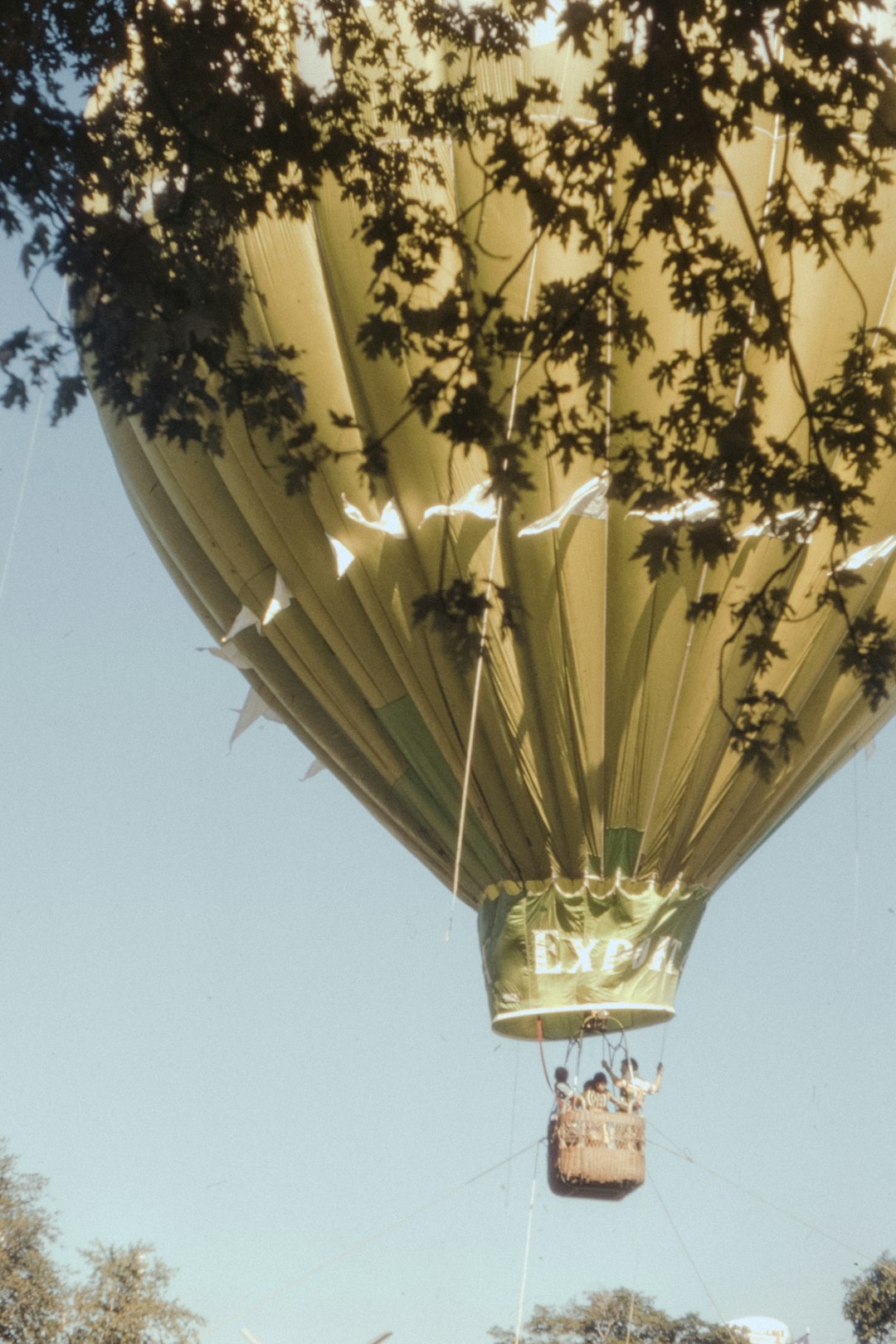 yellow hot air balloon under blue sky during daytime