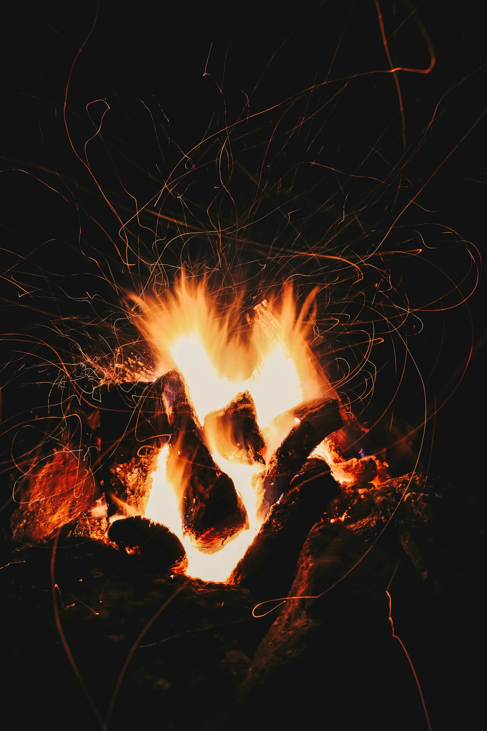 burning wood on brown soil